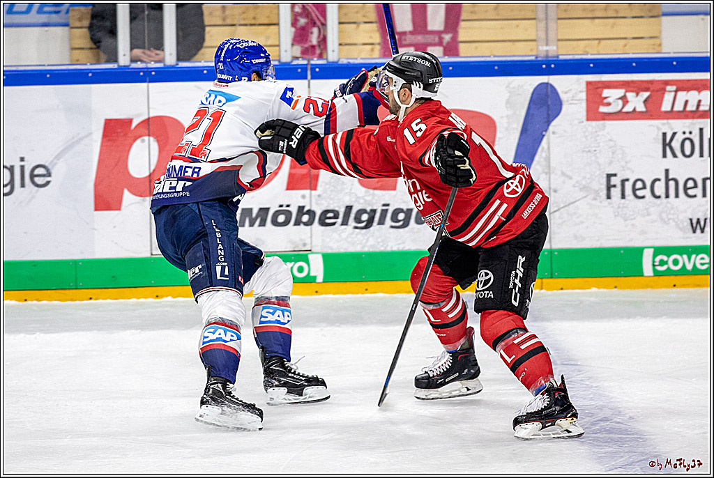 DEL; Koelner Haie - Adler Mannheim; Koeln, 01.11.2019